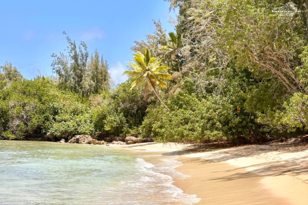 TURTLE BAY – WHERE NATURE AND TRANQUILITY MEET