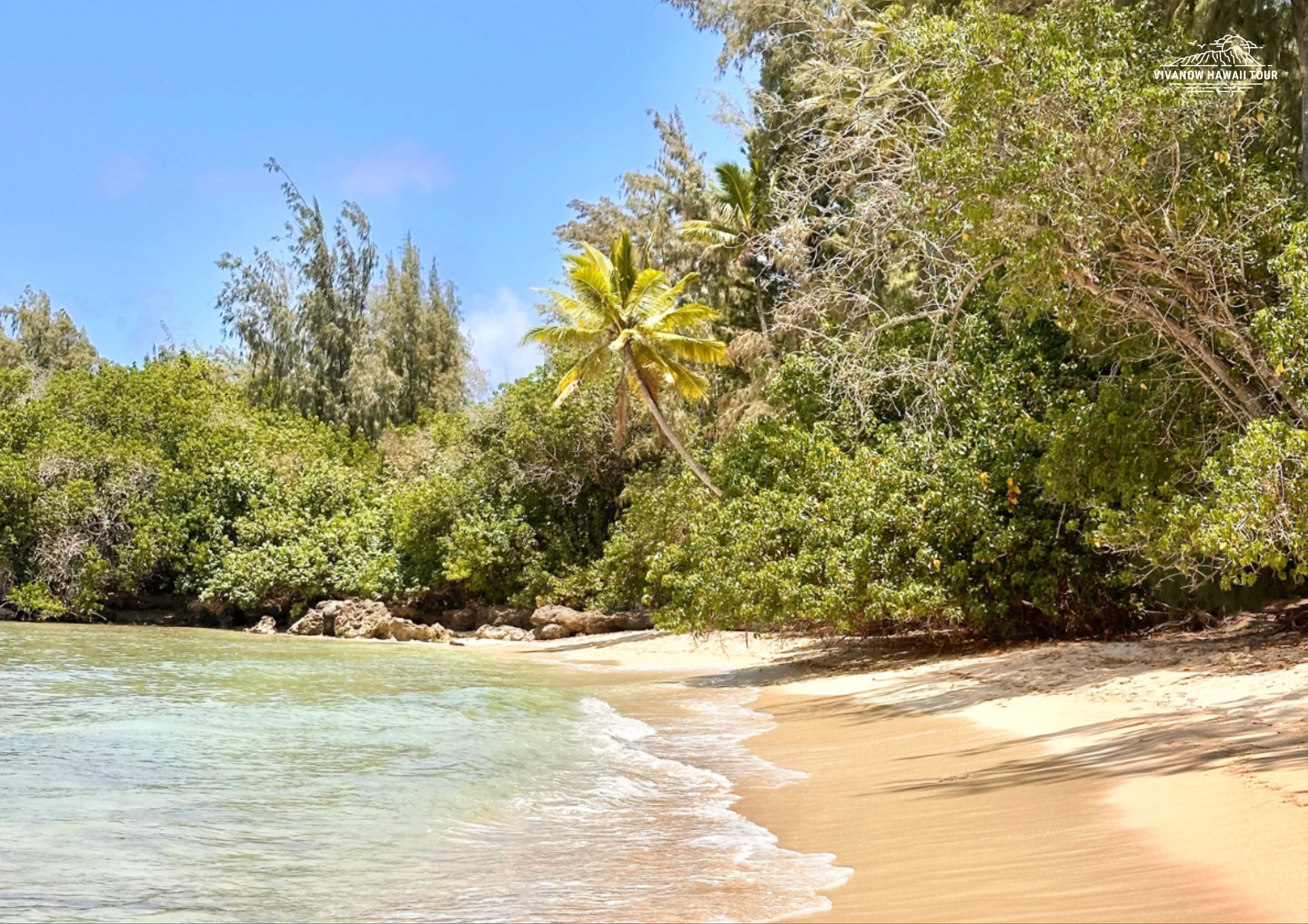 TURTLE BAY – WHERE NATURE AND TRANQUILITY MEET