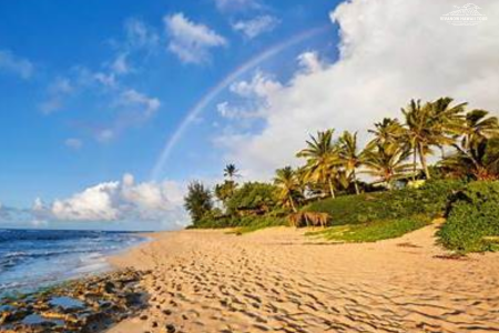 Mặt trời của thiên đường Hawaii