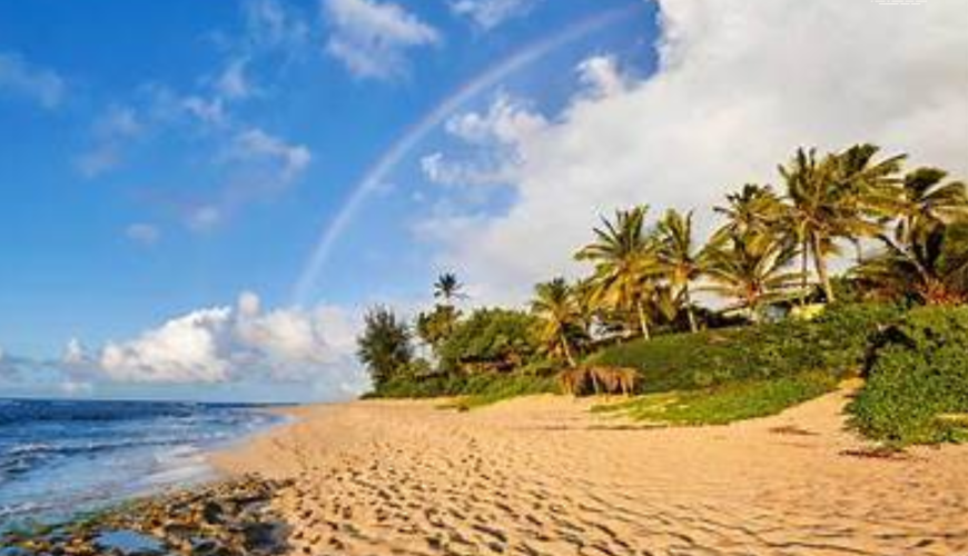 Mặt trời của thiên đường Hawaii