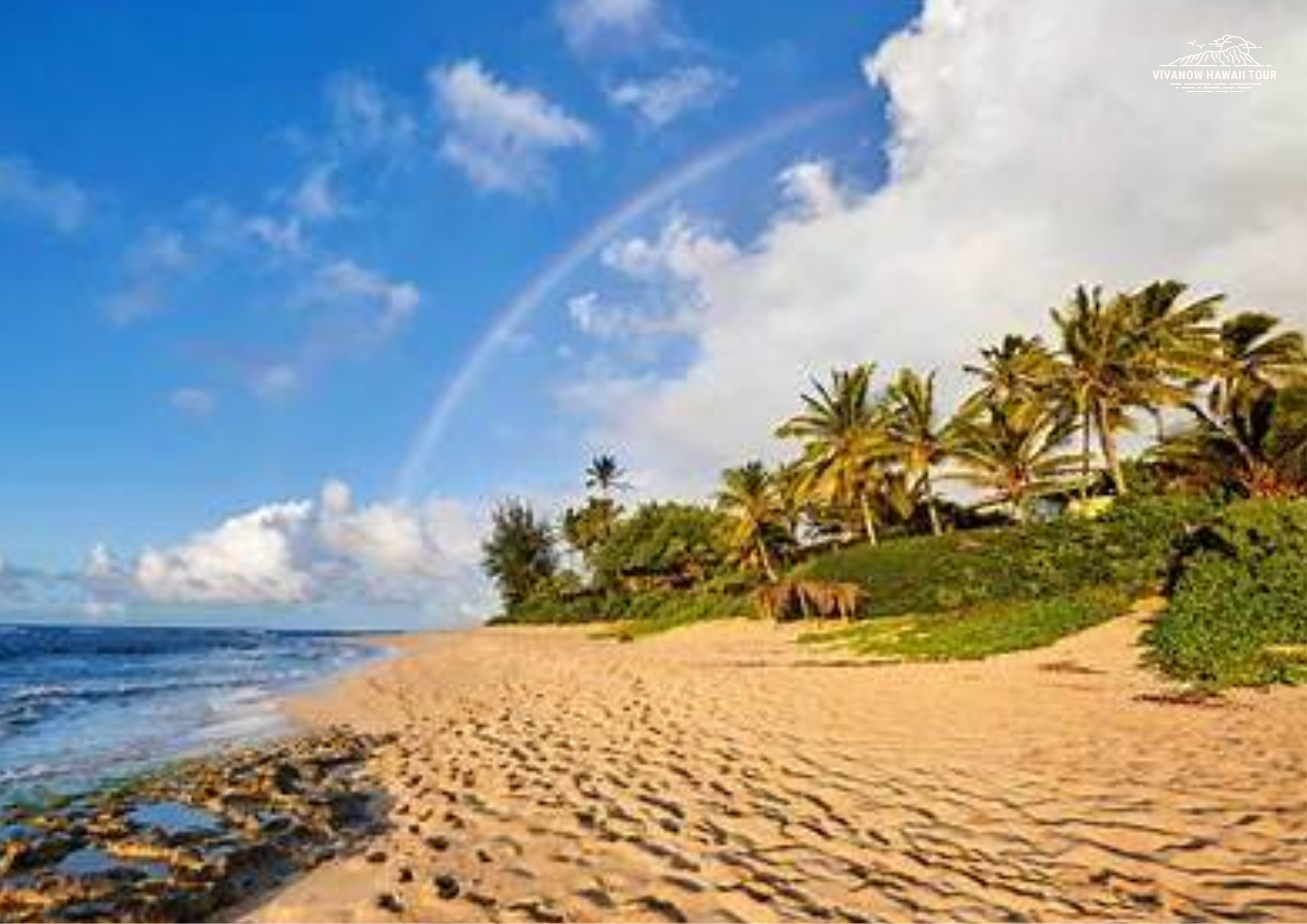 Mặt trời của thiên đường Hawaii